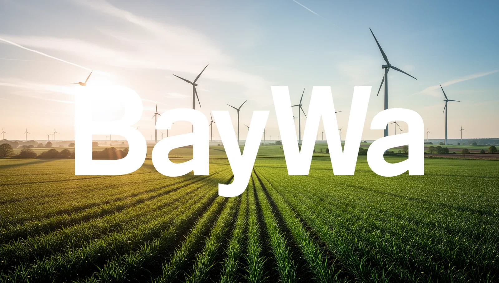 BayWa Aktie: 2,3 Milliarden Euro Umsatz im Q1 - Brse Global